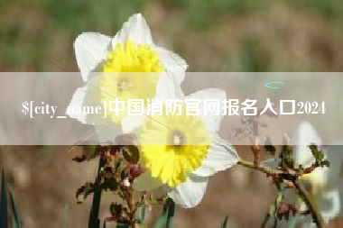 邵阳县中国消防官网报名入口2024