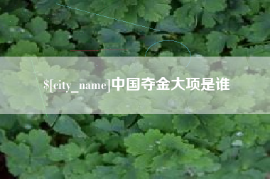邵阳县中国夺金大项是谁