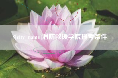 邵阳县消防救援学院报考条件