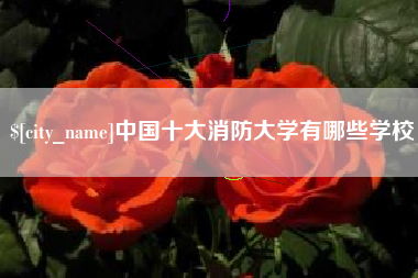 邵阳县中国十大消防大学有哪些学校