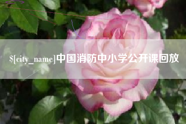 邵阳县中国消防中小学公开课回放