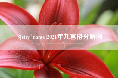 邵阳县2021年九宫格分解图