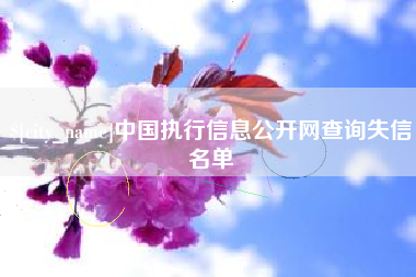邵阳县中国执行信息公开网查询失信名单