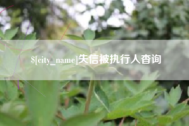 邵阳县失信被执行人杳询