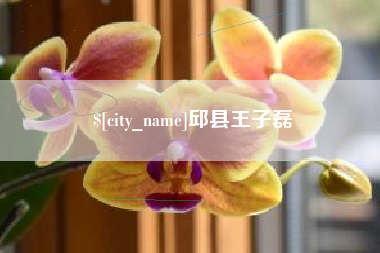 邵阳县邱县王子磊