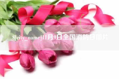 邵阳县11月9日全国消防日图片