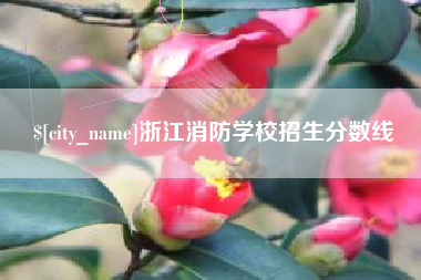 邵阳县浙江消防学校招生分数线