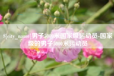 邵阳县男子5000米国家级运动员-国家级的男子5000米运动员