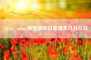 邵阳县我国消防日是哪天几月几日