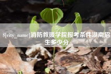邵阳县消防救援学院报考条件湖南招生多少分