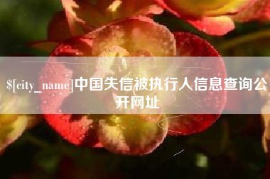 邵阳县中国失信被执行人信息查询公开网址