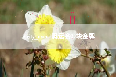 邵阳县奥运会39块金牌