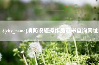 邵阳县消防设施操作员证书查询网址