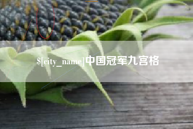 邵阳县中国冠军九宫格