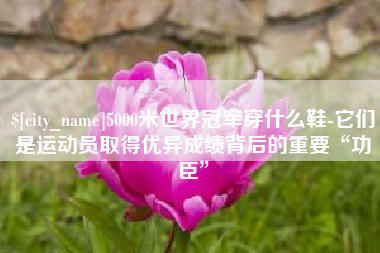 邵阳县5000米世界冠军穿什么鞋-它们是运动员取得优异成绩背后的重要“功臣”