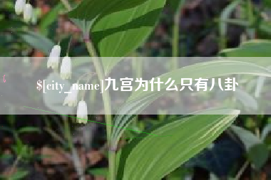 邵阳县九宫为什么只有八卦
