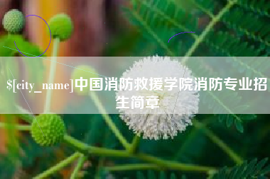 邵阳县中国消防救援学院消防专业招生简章
