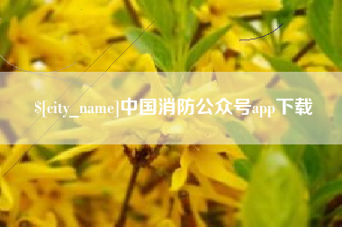 邵阳县中国消防公众号app下载