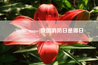 邵阳县我国消防日是哪日