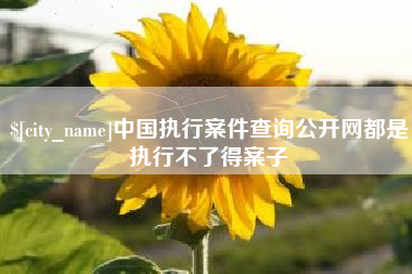 邵阳县中国执行案件查询公开网都是执行不了得案子