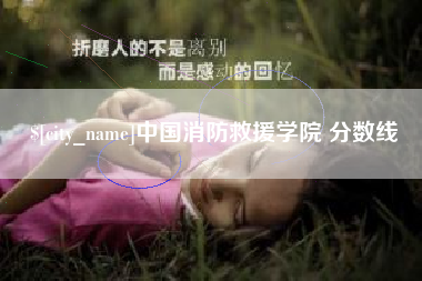 邵阳县中国消防救援学院 分数线