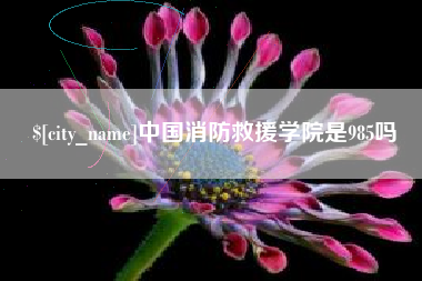 邵阳县中国消防救援学院是985吗