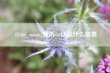 邵阳县消防ccc认证什么意思