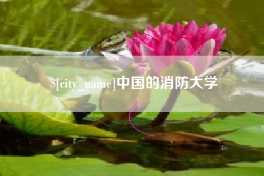 邵阳县中国的消防大学