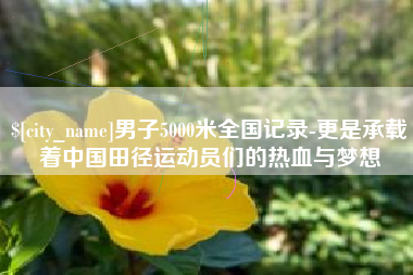 邵阳县男子5000米全国记录-更是承载着中国田径运动员们的热血与梦想