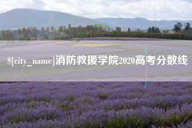 邵阳县消防救援学院2020高考分数线