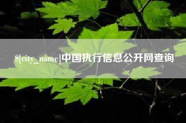 邵阳县中国执行信息公开网查询
