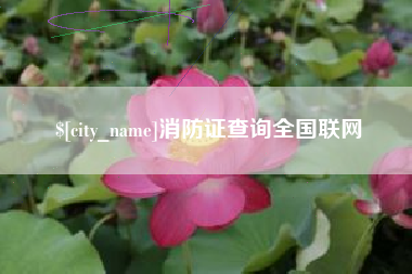 邵阳县消防证查询全国联网