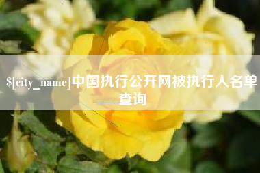 邵阳县中国执行公开网被执行人名单查询