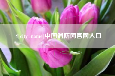 邵阳县中国消防网官网入口