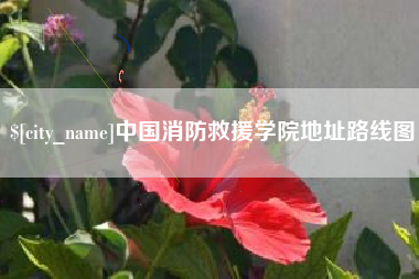 邵阳县中国消防救援学院地址路线图