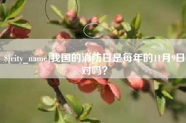 邵阳县我国的消防日是每年的11月9日对吗？