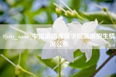邵阳县中国消防救援学院湖南招生情况公布