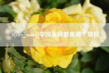 邵阳县中国金牌都是哪个项目