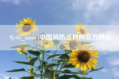 邵阳县中国消防器材网官方网站