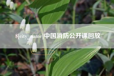 邵阳县中国消防公开课回放