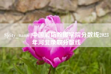 邵阳县中国消防救援学院分数线2023年河北录取分数线