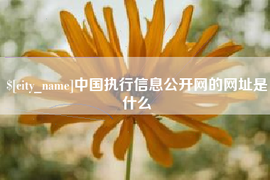 邵阳县中国执行信息公开网的网址是什么