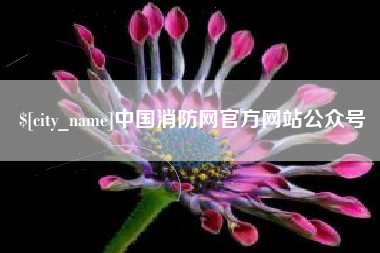 邵阳县中国消防网官方网站公众号