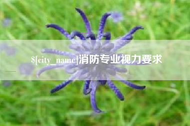 邵阳县消防专业视力要求