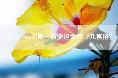 邵阳县第一波奥运金牌“九宫格”