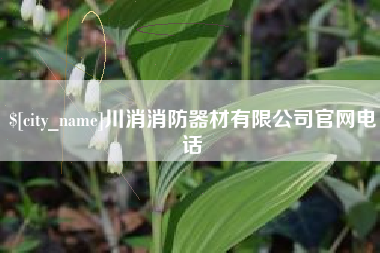 邵阳县川消消防器材有限公司官网电话