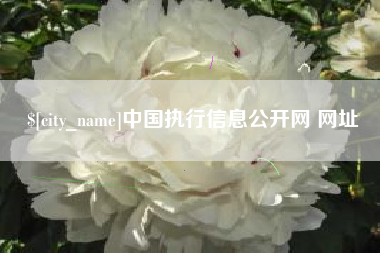 邵阳县中国执行信息公开网 网址
