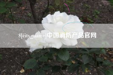 邵阳县中国消防产品官网