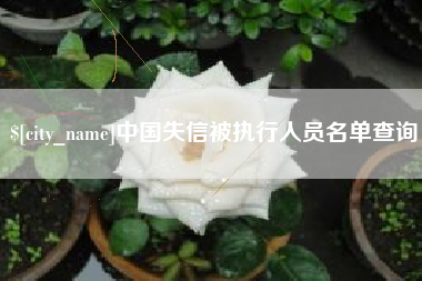 邵阳县中国失信被执行人员名单查询