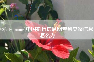 邵阳县中国执行信息网查到立案信息怎么办